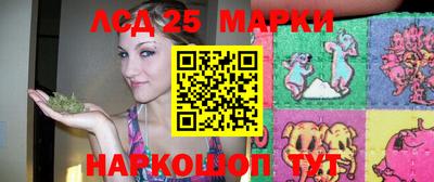 PSILOCYBIN Донской