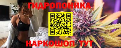 PSILOCYBIN Донской