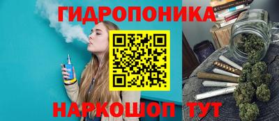 PSILOCYBIN Донской