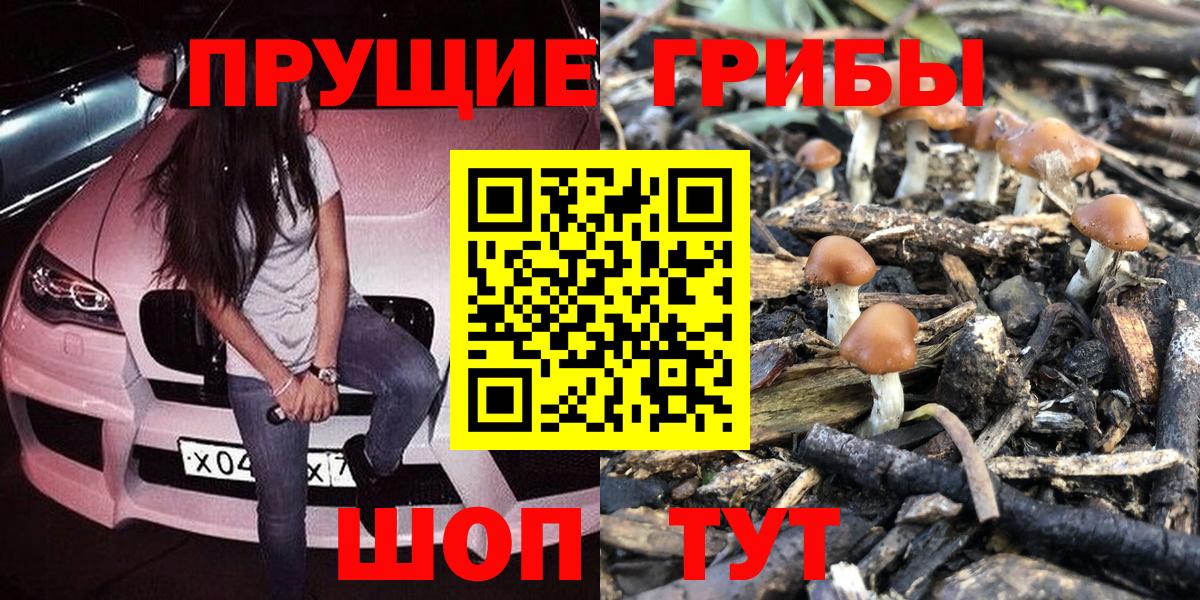 Псилоцибиновые грибы Magic Shrooms Менделеевск