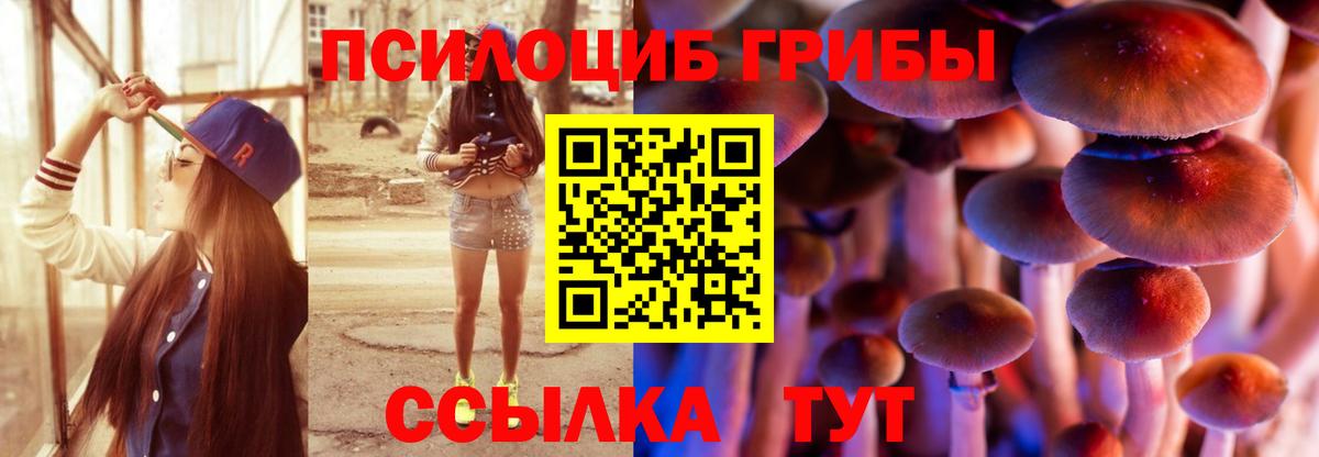 Псилоцибиновые грибы Psilocybe  Псилоцибиновые грибы мухоморы  Менделеевск  Вход с VPN 